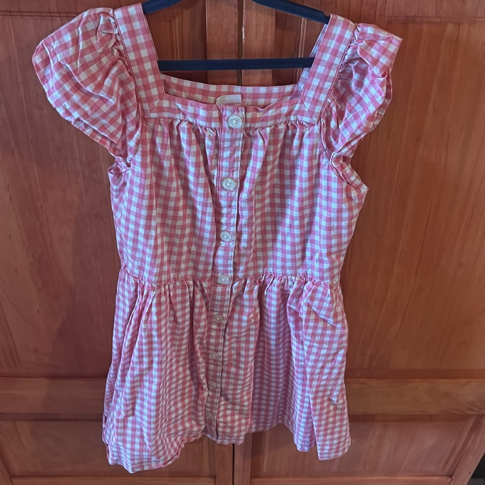 GAP- Pink Gingham Dress